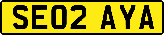 SE02AYA