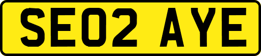 SE02AYE