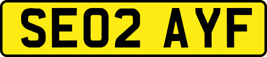 SE02AYF