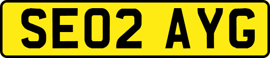 SE02AYG