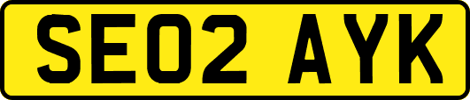 SE02AYK