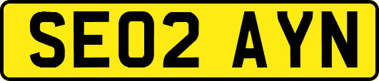 SE02AYN