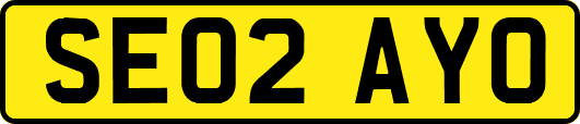 SE02AYO