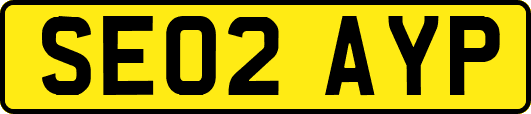 SE02AYP