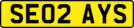 SE02AYS
