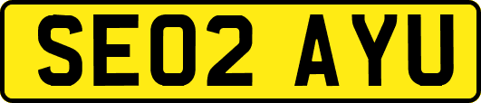 SE02AYU
