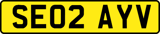 SE02AYV