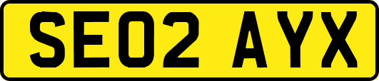 SE02AYX