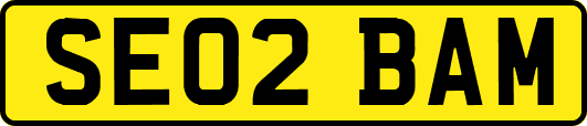 SE02BAM