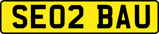SE02BAU