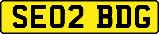 SE02BDG