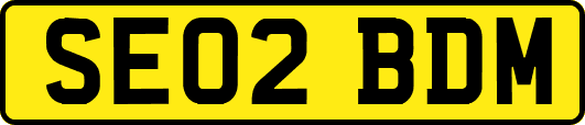 SE02BDM