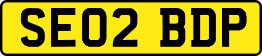 SE02BDP
