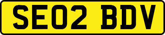 SE02BDV