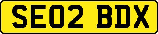 SE02BDX