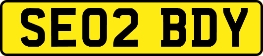 SE02BDY