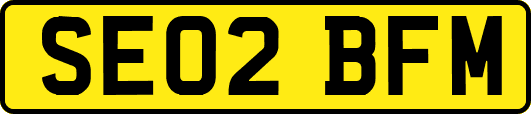 SE02BFM
