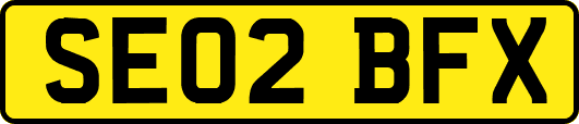SE02BFX