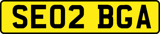 SE02BGA