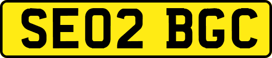 SE02BGC