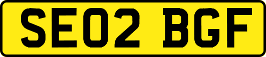 SE02BGF