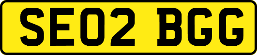 SE02BGG