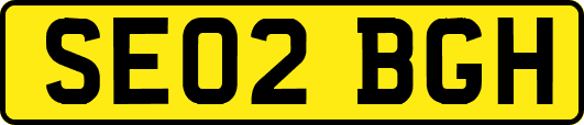 SE02BGH