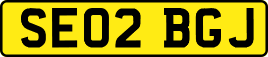 SE02BGJ
