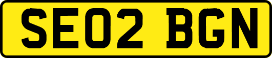 SE02BGN