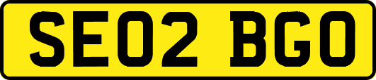 SE02BGO