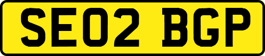 SE02BGP