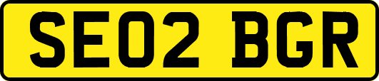 SE02BGR