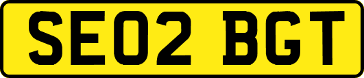 SE02BGT