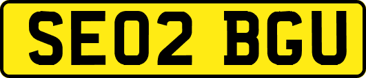 SE02BGU