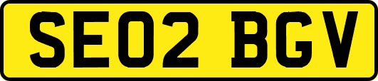 SE02BGV