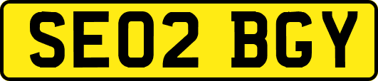 SE02BGY