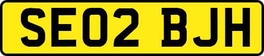 SE02BJH