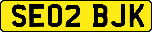 SE02BJK