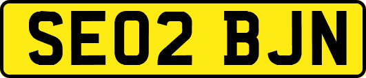 SE02BJN