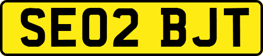 SE02BJT