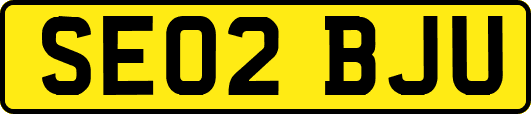 SE02BJU