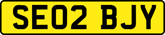 SE02BJY