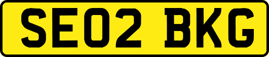 SE02BKG