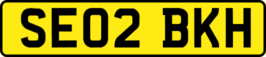 SE02BKH
