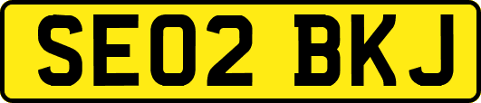 SE02BKJ