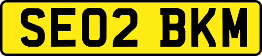 SE02BKM