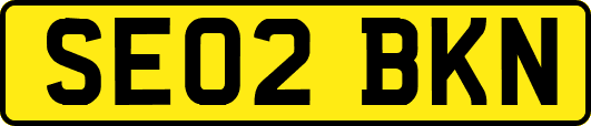 SE02BKN