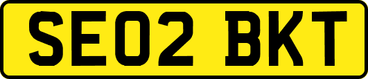 SE02BKT
