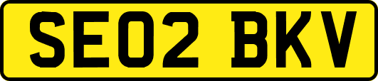 SE02BKV