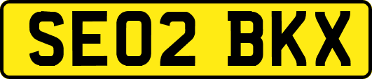 SE02BKX